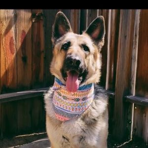 Meet your Posher, Coconutscloset